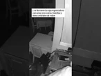 Así roban a mazazos unos encapuchados en un restaurante de Madrid #Robo #Mazazos #Restaurante