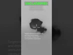 New video released as US strikes Iran again