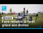 Mexique : faire renaître la forêt grâce aux drones • FRANCE 24