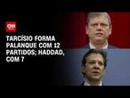 Eleições 2026: Tarcísio forma palanque com 12 partidos; Haddad com 7 | CNN 360º