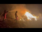 Mais de mil pessoas foram deslocadas na Espanha devido a incêndios florestais | AFP