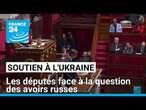 Soutien à l'Ukraine : les députés face à la question des avoirs russes • FRANCE 24