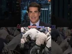 Watters: Is the face of Disney OK with promoting this? #shorts #usa #us #politics #disney