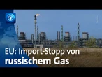 EU-Staaten wollen Import von russischem Gas stoppen