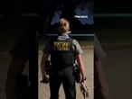 RUNAWAY PONY: Horse leads police on wild chase across golf course #shorts #cute #animals #usa #pony