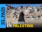 GAZA | La hambruna asola a las familias palestinas: 