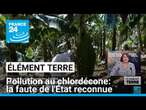 Pollution au chlordécone aux Antilles: la faute de l'Etat reconnue • FRANCE 24