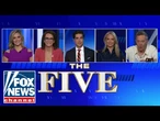 'The Five' roasts Dems for attacking ICE: 'HOW STUPID CAN THEY BE?'