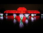 Un million de LED : Kew Gardens dévoile un nouveau parcours lumineux de Noël