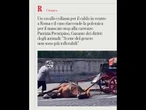A Roma un cavallo collassa per il caldo e il caso riaccende la polemica sulle carrozze