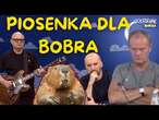 Kto obroni bobra przed premierem? Protest song Kodym & Kożuszek | Codziennie Burza