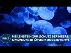 SCHUTZGEBIETE IM MEER: Rettungsplan für die Weltmeere? Was hinter dem Hochseeabkommen steckt!