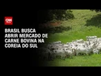 Brasil tenta abrir mercado de carne bovina na Coreia do Sul; entenda | CNN PRIME TIME