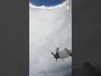 Le squadre 'Hurricane hunters' filmano dall'interno l'occhio dell'uragano Erin