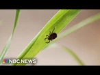 Emergency room visits for tick bites on the rise