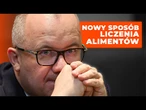 Nowe narzędzie ministerstwa. Sprawdź, ile wyniosą alimenty na dziecko | NEWS
