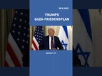 #Israel hat den von Donald #Trump vorgelegten Plan zur Beendigung des #Gaza-Kriegs akzeptiert.