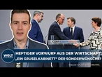 SCHWARZ-ROT: Wirtschaftsexperte urteilt GroKo als „Gruselkabinett“ der Lieblingsprojekte!