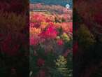 Vivid fall foliage on display in New Hampshire