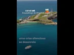 Aumento da temperatura ameaça vida marinha no Arquipélago de Abrolhos na Bahia