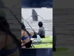 Humpback whale and calf breach yards away from kayakers in Costa Rica