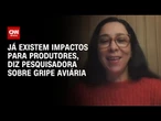 Gripe Aviária: Já existem impactos para produtores, diz pesquisadora | LIVE CNN