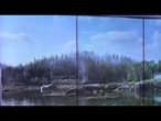 Feux de forêt au Canada : 4,5 millions d'hectares brûlés depuis mai • FRANCE 24