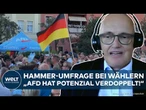 DEUTSCHLAND: Rekord-Umfrage für AfD! Experte mit harter Analyse zum Höhenflug