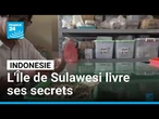 Indonésie: l'Île de Sulawesi livre ses secrets riches en histoire • FRANCE 24