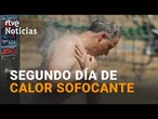 Los TERMÓMETROS se DISPARAN en plena OLA DE CALOR sobre todo en el NORTE | RTVE Noticias