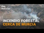 250 EFECTIVOS trabajan en un INCENDIO FORESTAL en el PARQUE REGIONAL de EL VALLE | RTVE Noticias