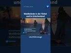 In Griechenland und der Türkei kämpfen Einsatzkräfte gegen Waldbrände. #tagesschau #shorts
