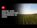Análise: Os objetos do agro na COP30 em Belém | WW