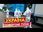 ТЕРМІНОВО! В Україну ПОВЕРНУЛИ 1212 ТІЛ У МЕЖАХ ОБМІНУ між Україною та РФ 6 тисяч на 6 тисяч!