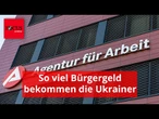 Der neue Bürgergeld-Check: So viel kostet es, so viel bekommen die Ukrainer