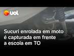 Sucuri é econtrada enrolada no motor de moto em frente a escola em Tocanrins; diretor captura reptil