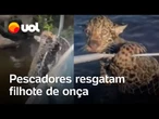 Pescadores resgatam filho de onça perdido da mãe em rio no Mato Grosso do Sul; veja