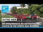 Un mouvement de contestation contre la vie chère aux Antilles • FRANCE 24