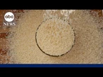 Tariffs and floods threaten India’s basmati rice exports to the US