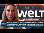 AFD: Brandmauer? „Wie die Lemminge“ Nena Brockhaus rechnet mit der Union ab | WELT Meinung