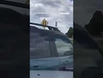Homicide suspect SHOOTS at troopers in high speed chase #foxnews #news #us #fox