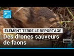 Dea agriculteurs sauvent des faons grâce à des drones thermiques • FRANCE 24