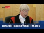 Two teens sentenced for murdering schoolboy in machete bus attack