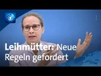 Debatte um Leihmutterschaft: Brosius-Gersdorf fordert Legalisierung
