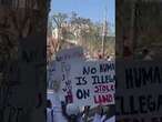 Anti-Trump protestors STORM LA freeway