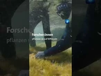 Lösungen für die vom Klimawandel bedrohte Alge. #griechenland #tagesschau #nachrichten