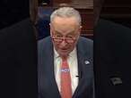 Chuck Schumer: DOGE operates as 'shadow government'