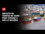 Impacto de tarifas no agronegócio pode chegar a US$ 4,2 bilhões; entenda | CNN AGRO NEWS