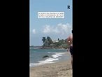 Cilento, cinghiale al mare in cerca di refrigerio