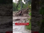 Filippine, uomo si aggrappa a un albero durante un'alluvione